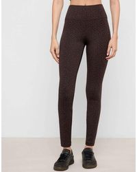 Calzedonia - Ultra Comfort Soft Touch Leggings - Lyst