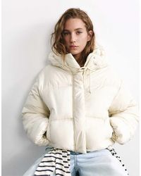 Pull&Bear - Cropped Pufferjack Met Capuchon - Lyst