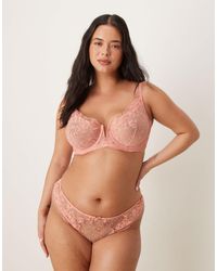 ASOS - Asos Design Curve Giselle Premium Sparkle Embroidery Thong - Lyst