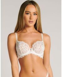 Boux Avenue - Heidi Floral Lace Plunge Underwired Bra Lingerie - Lyst