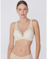 Tezenis - Havana Lace Triangle Bra - Lyst