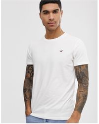 Hollister t 2024 shirt sale