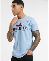 Hollister T-shirts for Men - Up to 54