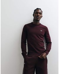 Lacoste - Gebreide Katoenen Trui - Lyst
