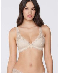 Tezenis - Havana Lace Triangle Bra - Lyst