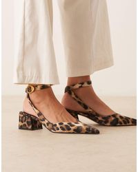 ASOS - – sienna – schuhe mit mittelhohem blockabsatz und leopardenmuster - Lyst