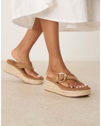 ASOS - Toucan Buckle Detail Toe Thong Wedges - Lyst