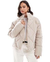 Miss Selfridge - Oversized Gewatteerd Cropped Puffer Jack Met Opstaande Boord - Lyst