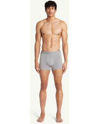 CHE - Che Studios 3 Pack Boxer Trunks With Tonal Waistband - Lyst