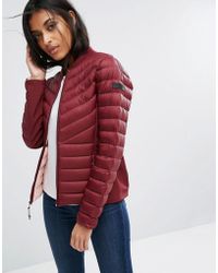 hollister jacket women