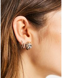 ALDO Earrings and ear cuffs for Women | Online Sale up to 43% off | Lyst  Australia