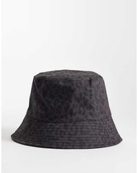 ASOS - Leopard Print Bucket Hat - Lyst
