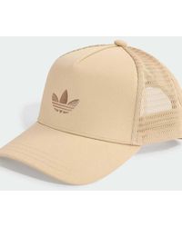 adidas Originals - Adicolor Classic Curved Foam Trucker Cap - Lyst