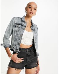 superdry jacket denim