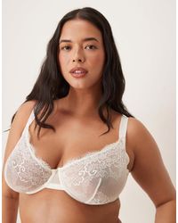 ASOS - Asos design curve – aurora – bügel-bh aus spitze - Lyst