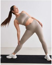 Aim'n - Dark Clay Ribbed Seamless Petite Tights - Lyst