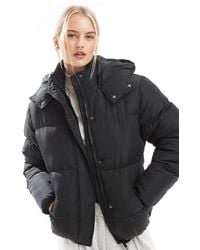 Brave Soul - Tall Bunny Hooded Puffer Jacket - Lyst