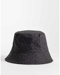 ASOS - Leopard Print Bucket Hat - Lyst