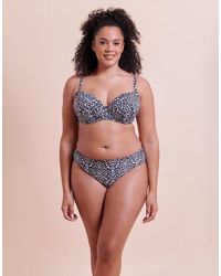 Curvy Kate - Wild Horizon Bikini Brief - Lyst