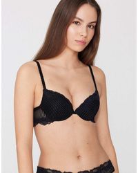 Tezenis - Los Angeles Glam Rib Super Push-Up Bra - Lyst