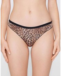 Tezenis - Printed Cotton Brazilian Briefs - Lyst