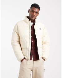 Dickies - – summerdale – steppjacke - Lyst