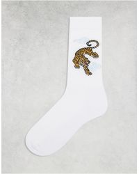 ASOS - Socks With Tiger Embroidery - Lyst