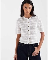Brave Soul - Crochet Knit Short Sleeve Cardigan With Scallop Detail - Lyst