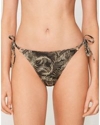 Tezenis - Brazilian Briefs Laces Golden Tropics - Lyst