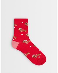 Accessorize - Christmas Dog Socks - Lyst