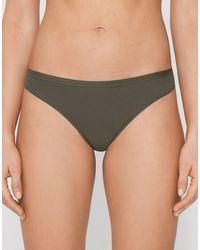 Tezenis - Cotton G-String - Lyst