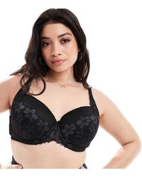 Ivory Rose - Ivory Rose Curve Roma C-g Lace And Spot Mesh Padded T Shirt Bra - Lyst