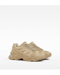 bershka sneakers