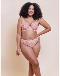 Curvy Kate - Spellbound Brazilian Brief - Lyst