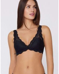 Tezenis - Havana Lace Triangle Bra - Lyst
