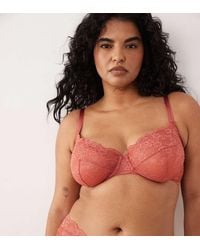 ASOS - Asos Design Curve Lola Lace Underwired Bra - Lyst
