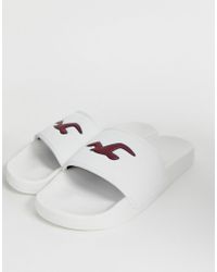 hollister sandals