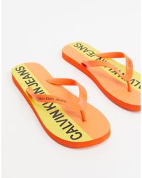 calvin klein flip flops sale