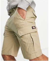 Dickies Shorts for Men | Online Sale up 