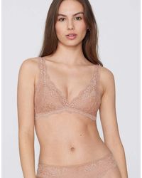 Tezenis - Havana Lace Triangle Bra - Lyst