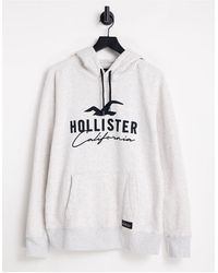 Hollister Hoodies for Men | Online Sale 