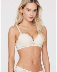 Tezenis - Berlin Ivory Bloom Padded Push-Up Bra - Lyst