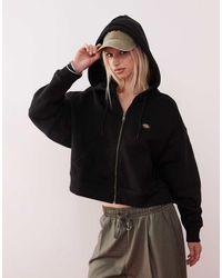 Dickies - Oakport - Lyst