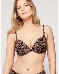 Tezenis - Savage Sun Bikini Top - Lyst