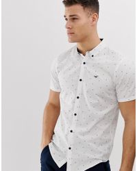 hollister oxford
