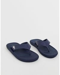 lacoste flip flops price