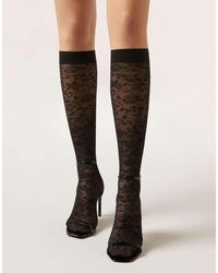 Calzedonia - Lace Knee-High Socks - Lyst