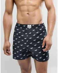 calecon hollister homme