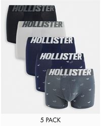 Hollister 5 Pack Icon Logo Pique Polo in Blue for Men | Lyst