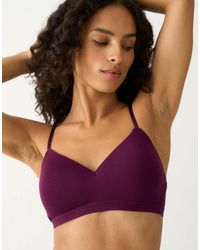 Stripe & Stare - Smooth Sculpt Padded Bra - Lyst